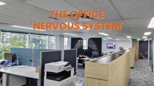 A close-up view inside a networking cabinet showing highly organized and structured cabling. Rows of network cables, primarily blue and white, are neatly tied and routed into patch panels and network switches. The setup demonstrates a professional installation with color-coding and clear labeling, essential for high-performance data cabling services in a Sydney commercial environment.