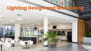 Office fitout in Sydney emphasizing natural light, greenery, and energy-efficient fixtures that promote well-being and focus.